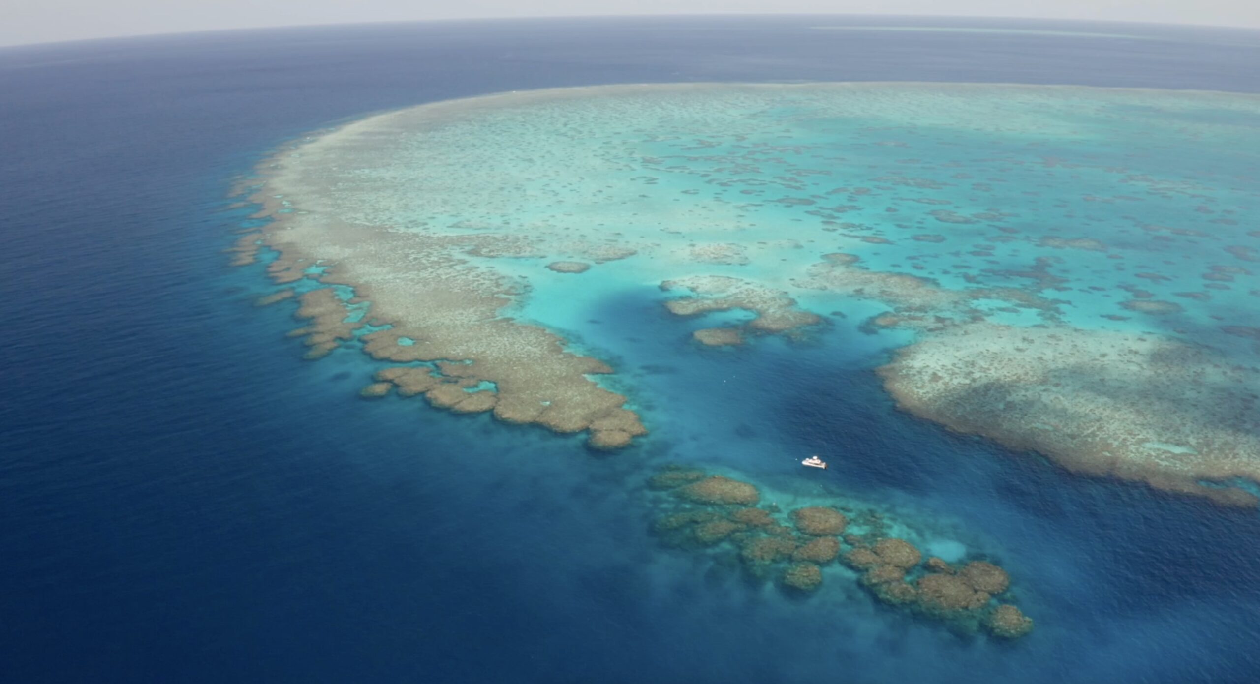 Great Barrier Reef Videography